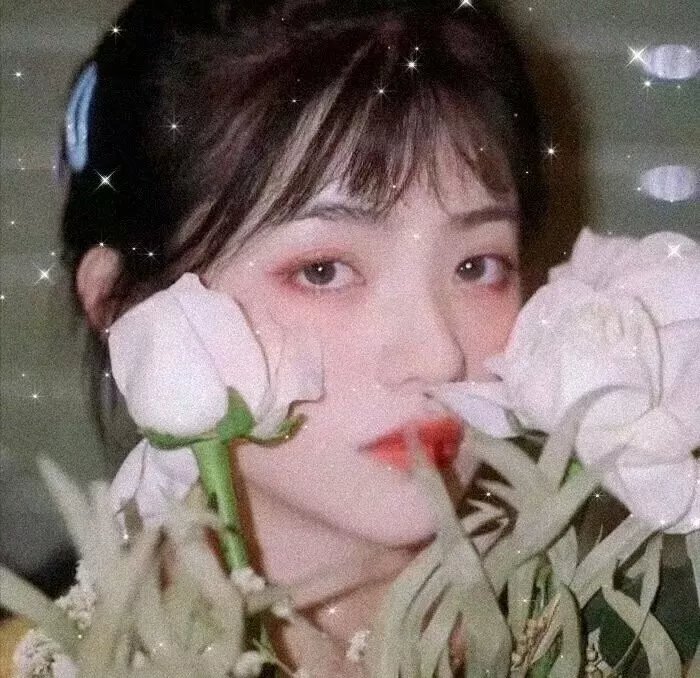 我是只小小鸟