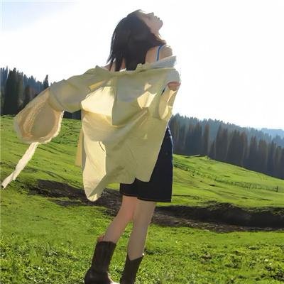 双子座计划